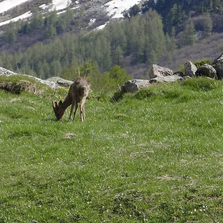 Le Chamois * Arolla